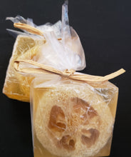 Load image into Gallery viewer, Loofahpalooza Set of 2 soaps...SALE...$10.00 - Sisters Soap Kitchen
