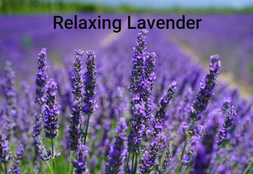 Relaxing Lavender...BeCalm Balm and Lavender Goat Milk Soap - Sisters Soap Kitchen